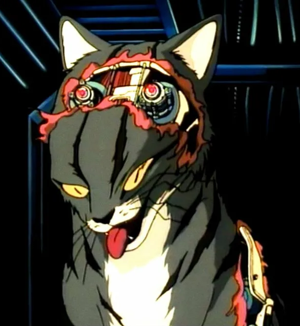 О LillyCat…