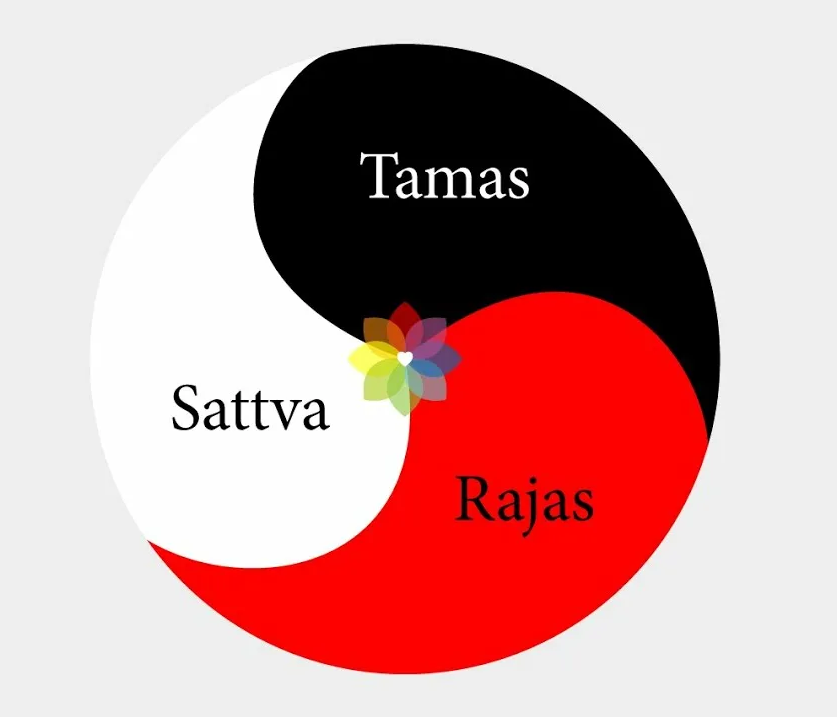 О Тамасе…